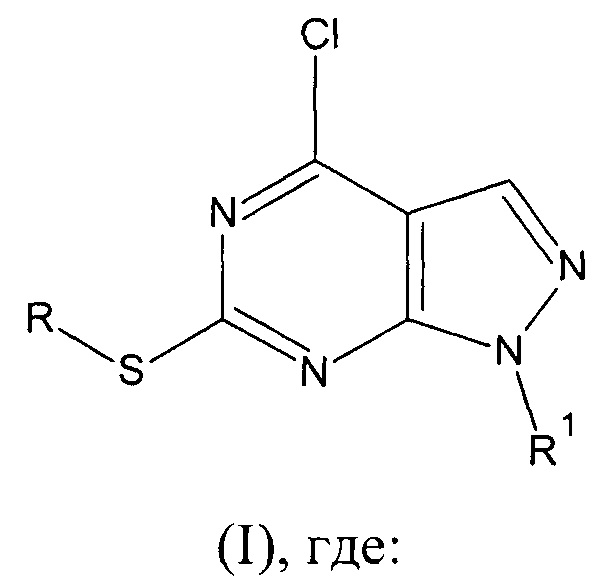 Производные 1Н-пиразоло[3,4-d]пиримидина и способ их получения