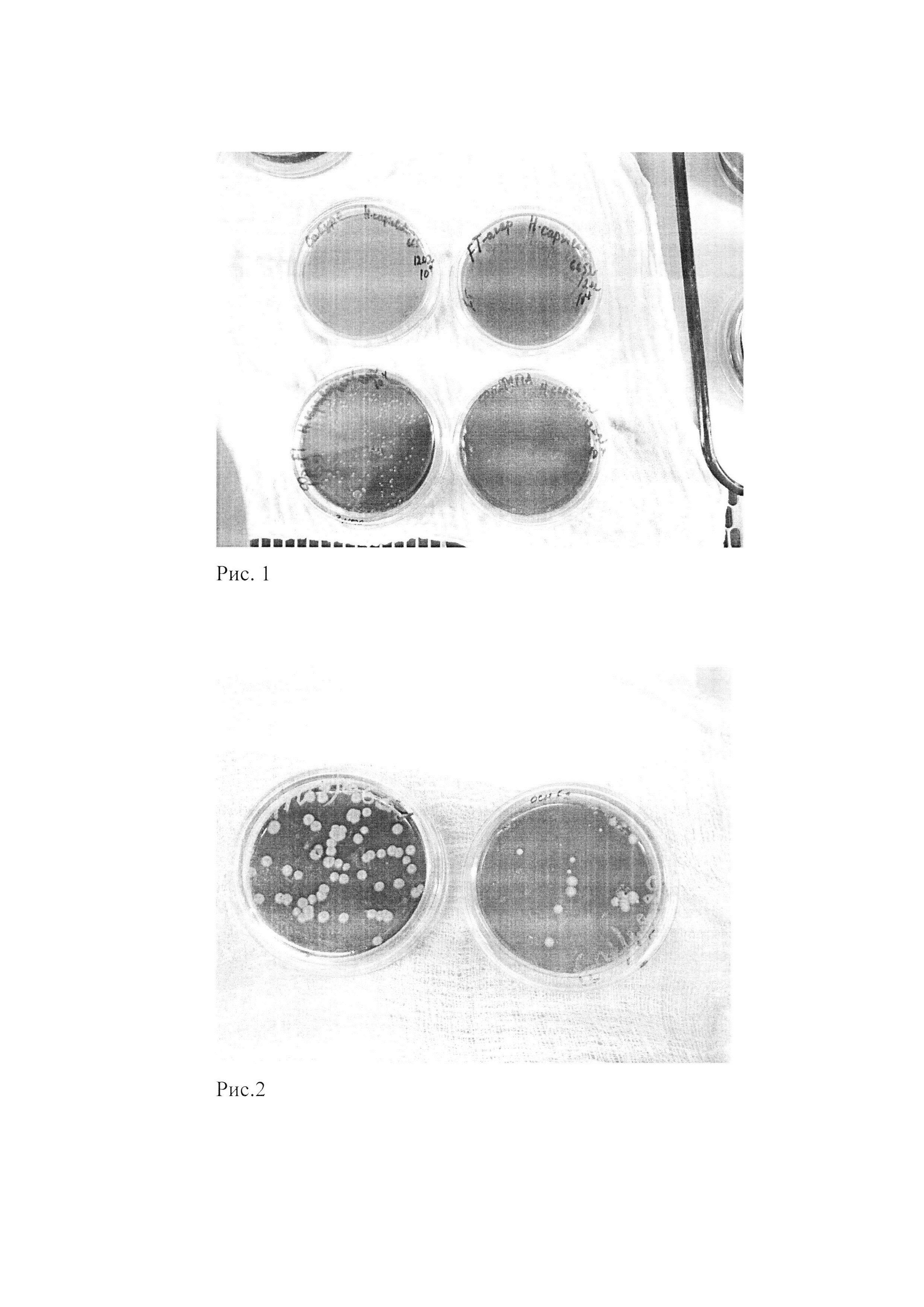 Питательная среда для получения дрожжевых клеток диморфного гриба Histoplasma capsulatum