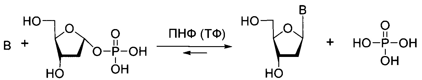 Гидройодная соль 7-метил-2'-дезоксигуанозина в качестве субстрата для получения 2'-дезоксинуклеозидов методом ферментативного трансгликозилирования