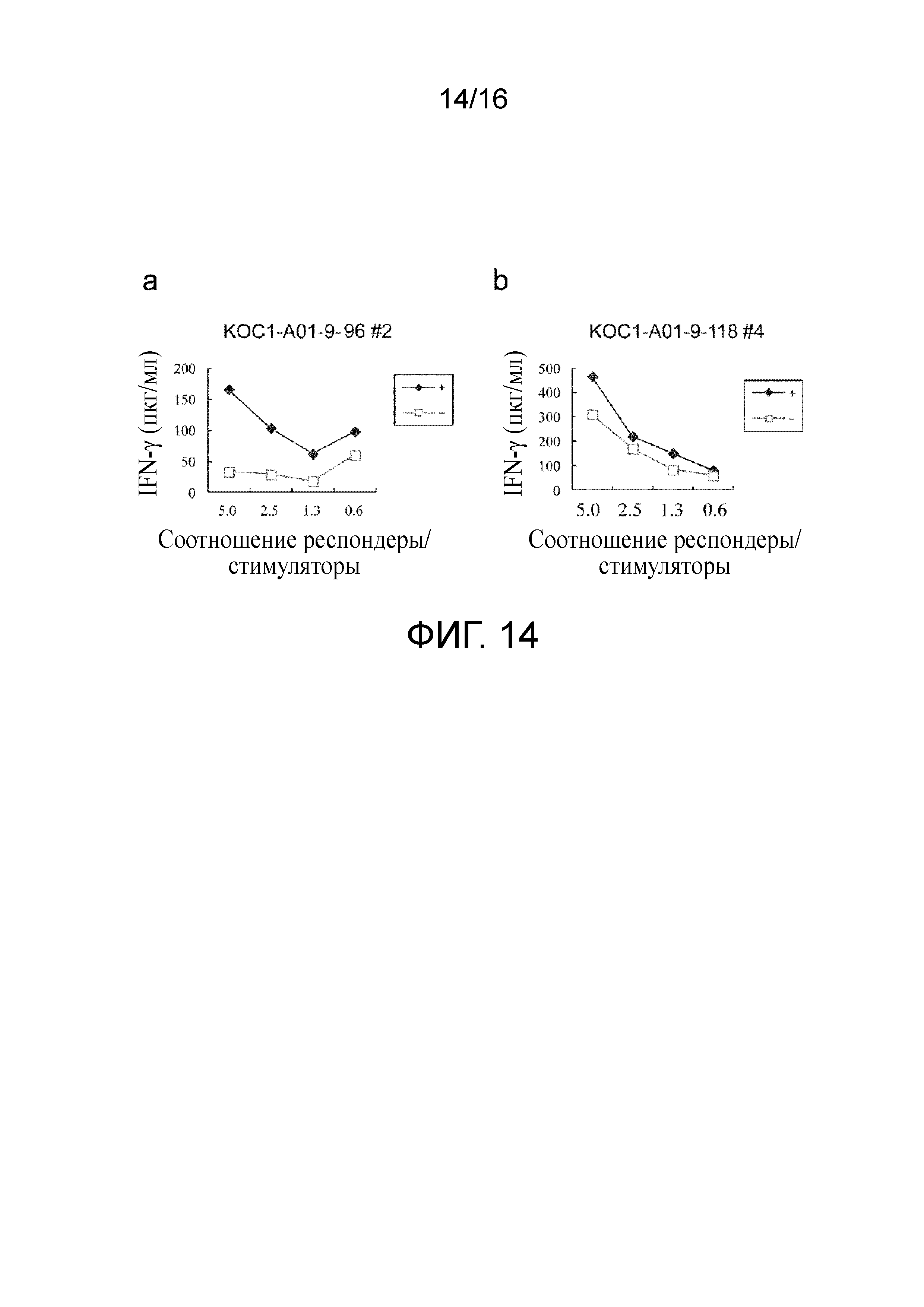 ПЕПТИД, ПОЛУЧЕННЫЙ ИЗ KOC1, И СОДЕРЖАЩАЯ ЕГО ВАКЦИНА