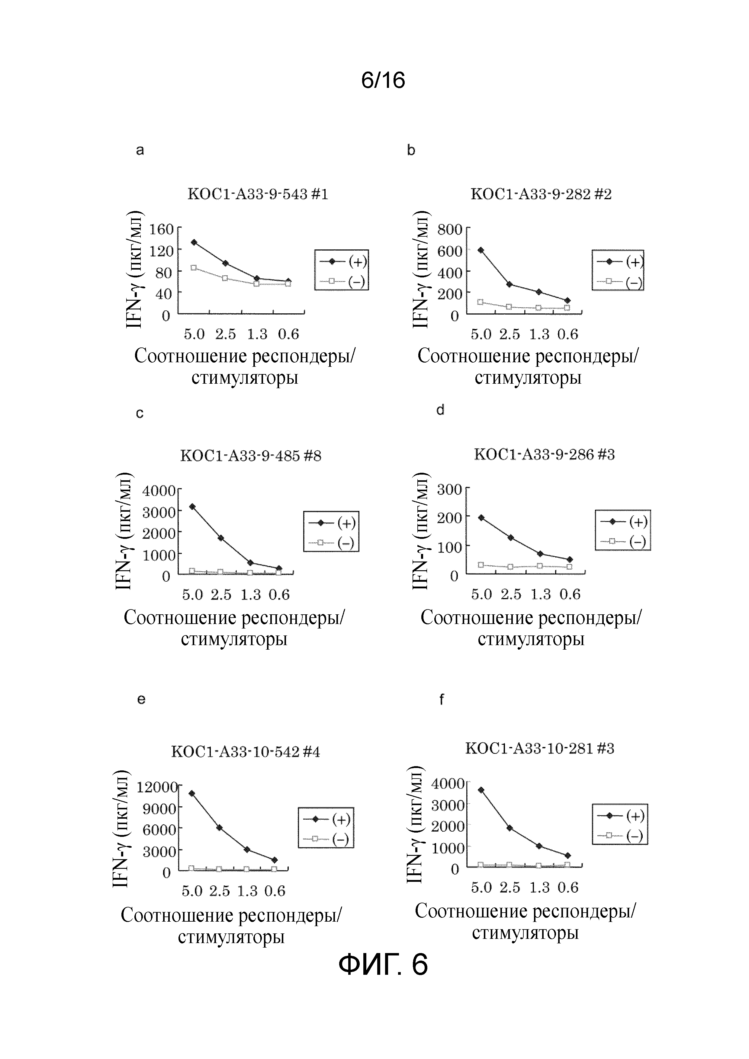 ПЕПТИД, ПОЛУЧЕННЫЙ ИЗ KOC1, И СОДЕРЖАЩАЯ ЕГО ВАКЦИНА