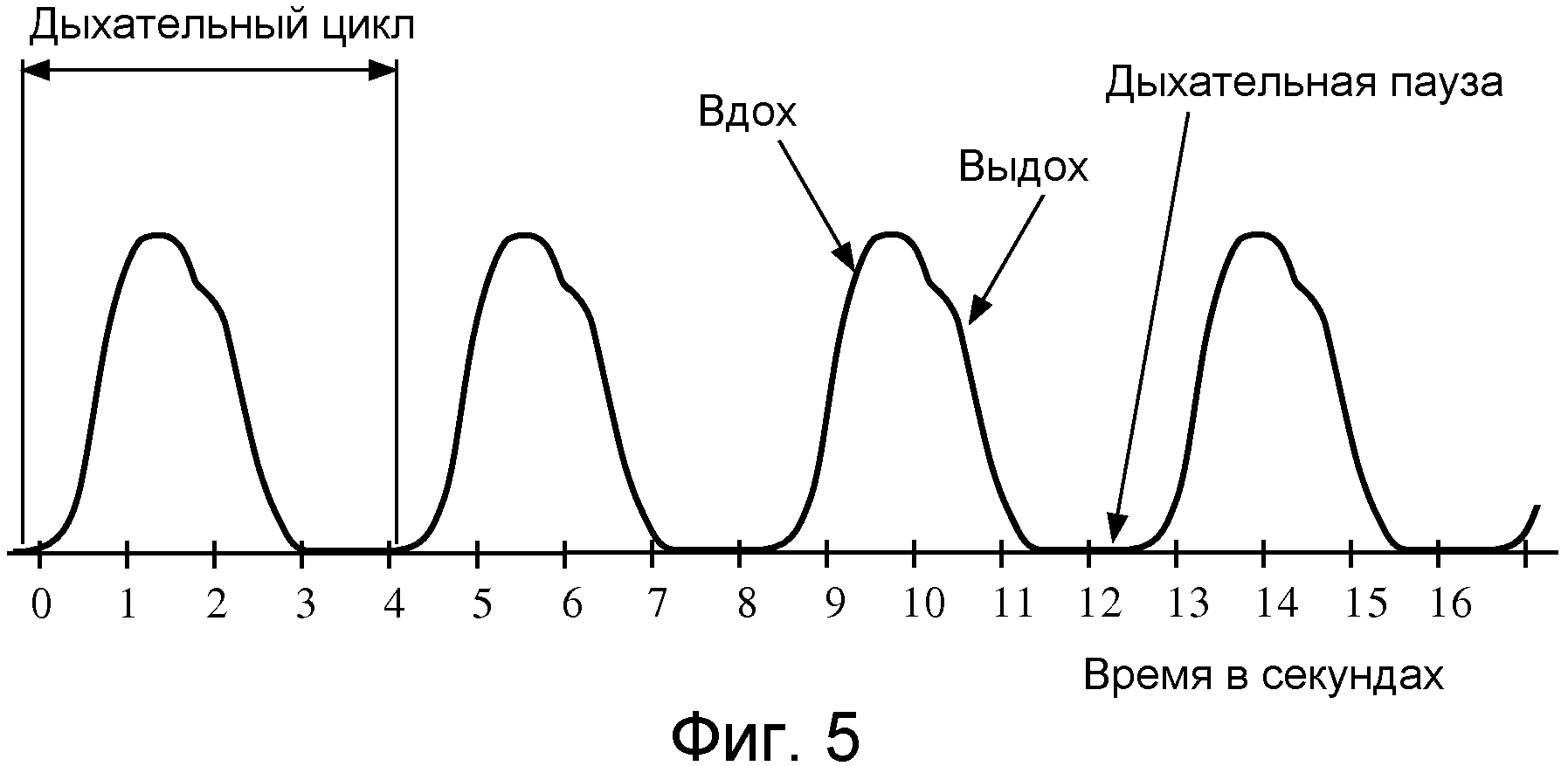 Цикл дыхания. Ритмогенез дыхательного цикла схема. Дыхательный цикл схема. Теории дыхательного ритмогенеза. Ритмогенез физиология.