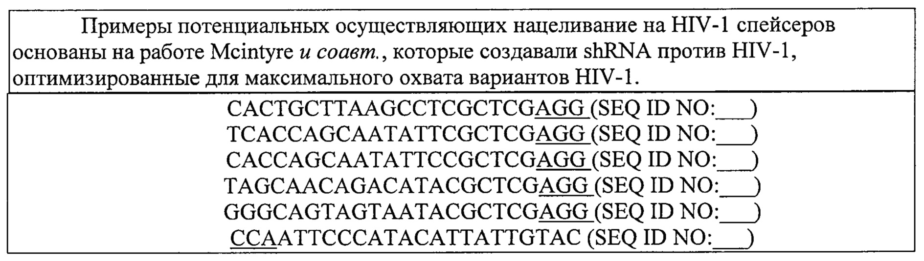Реферат: The Effects Of HIV Mutations On The