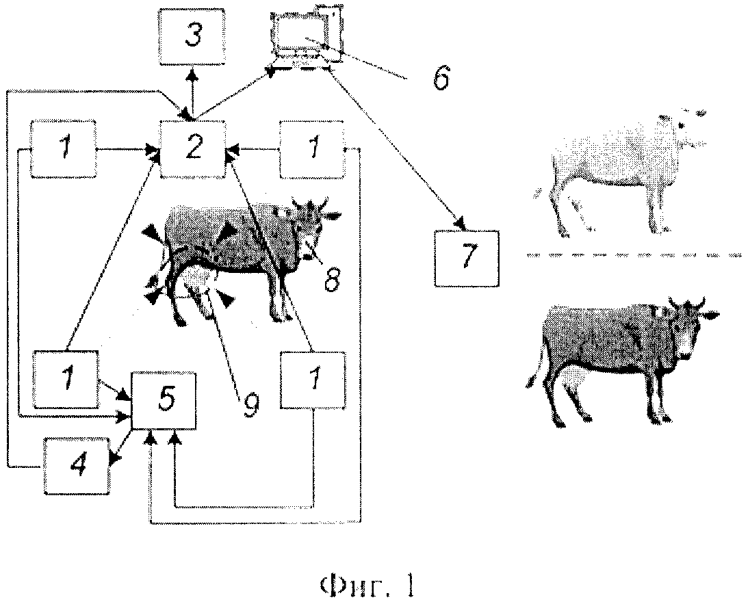 Способ и устройство дистанционной фиксации физиологического состояния вымени и доильных сосков сельскохозяйственных животных