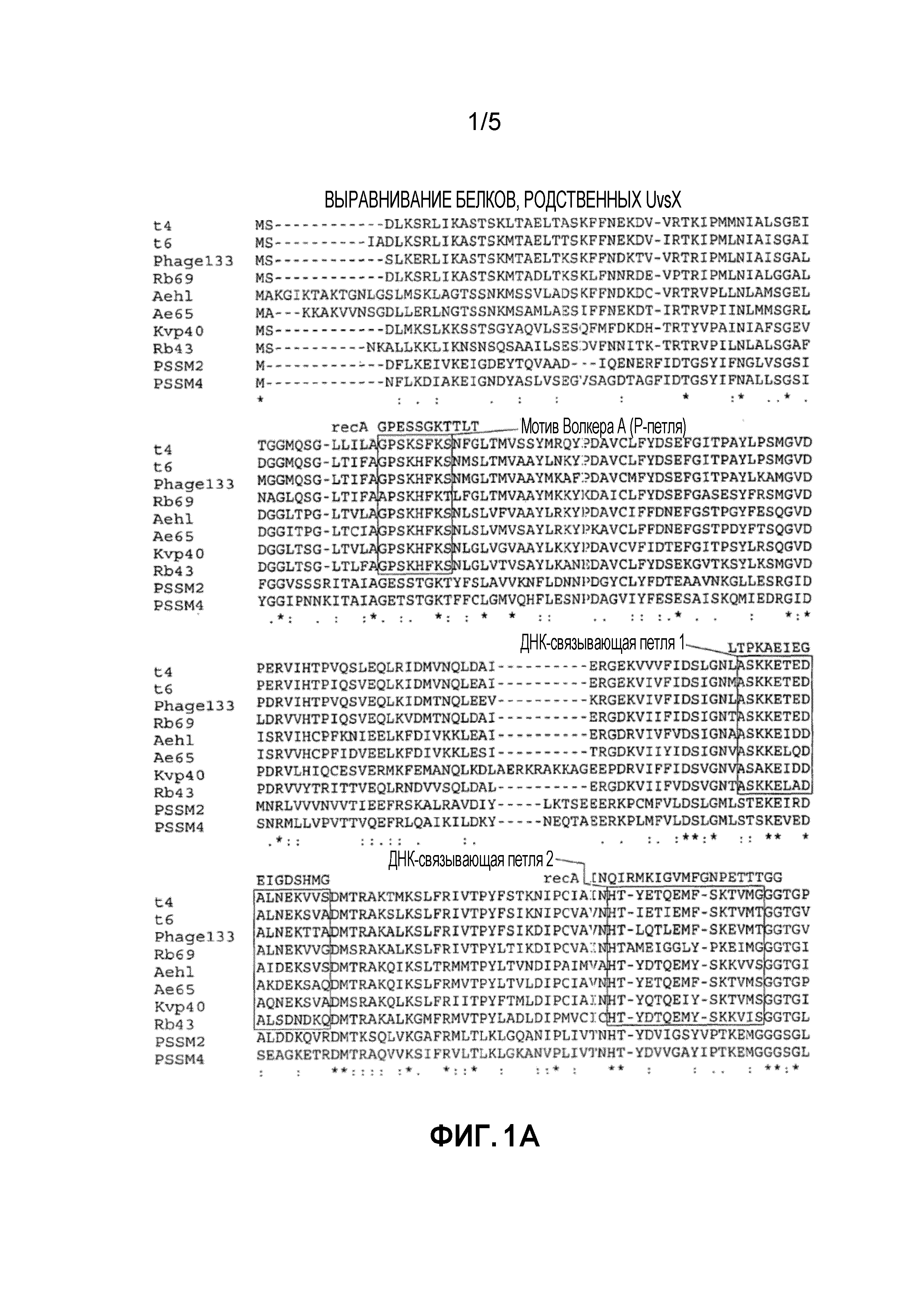 МУТАНТЫ РЕКОМБИНАЗ