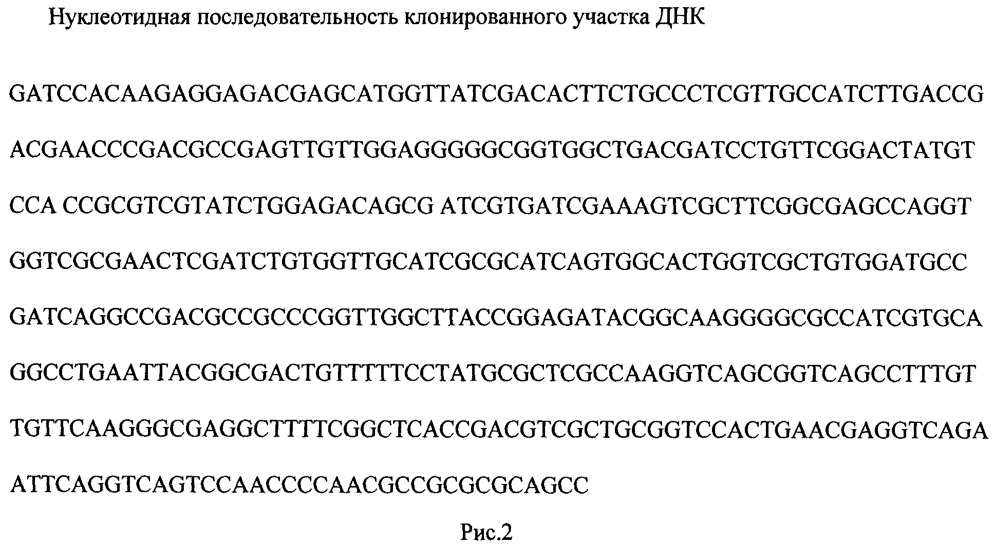 РЕКОМБИНАНТНАЯ ПЛАЗМИДНАЯ ДНК pMind-vapC, СОДЕРЖАЩАЯ НУКЛЕОТИДНУЮ ПОСЛЕДОВАТЕЛЬНОСТЬ, КОДИРУЮЩУЮ ГЕН vapC MSMEG_1284