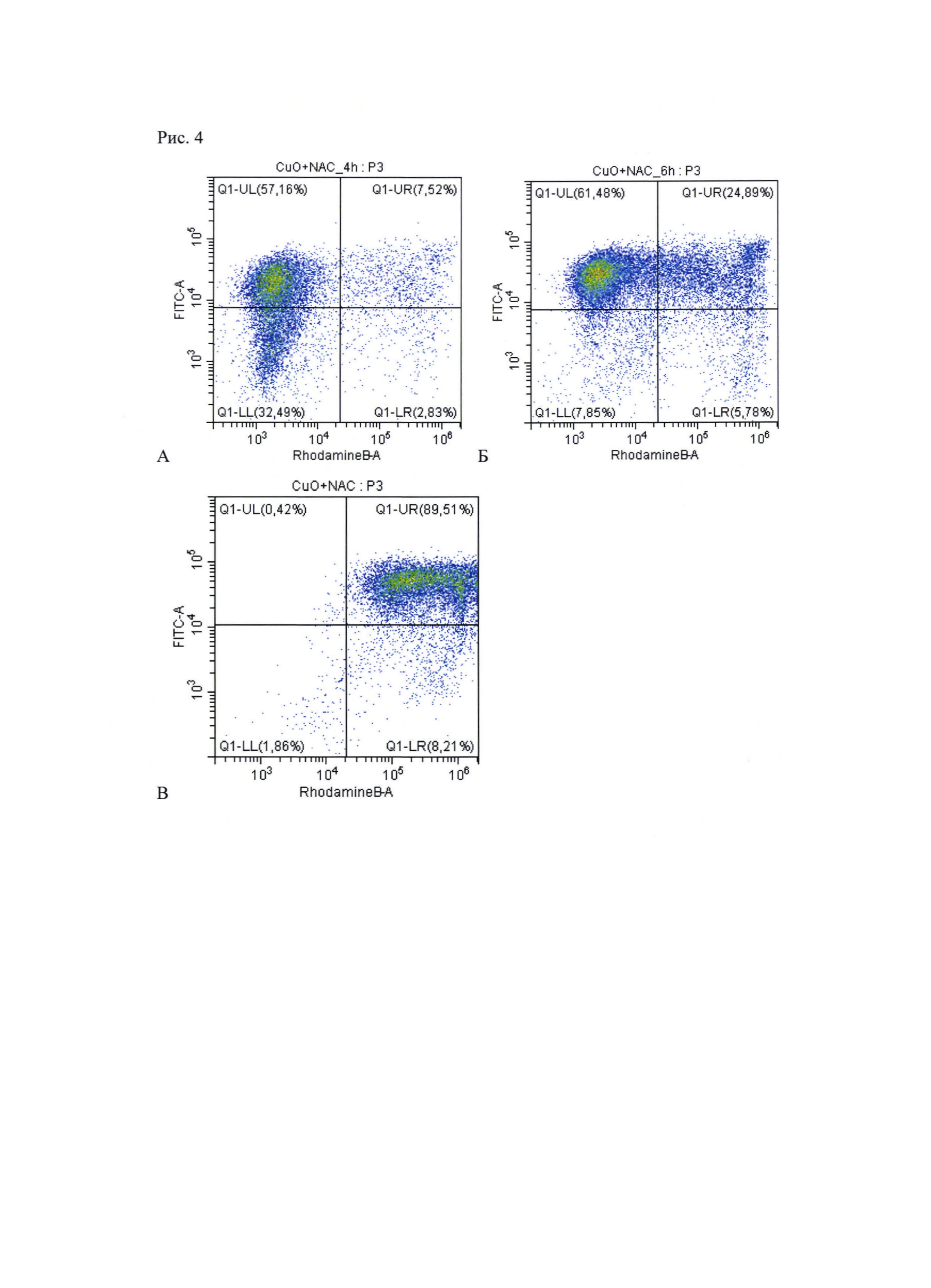 Применение композиции наночастиц оксида меди и N-ацетилцистеина для индукции гибели клеток хронического миелоидного лейкоза