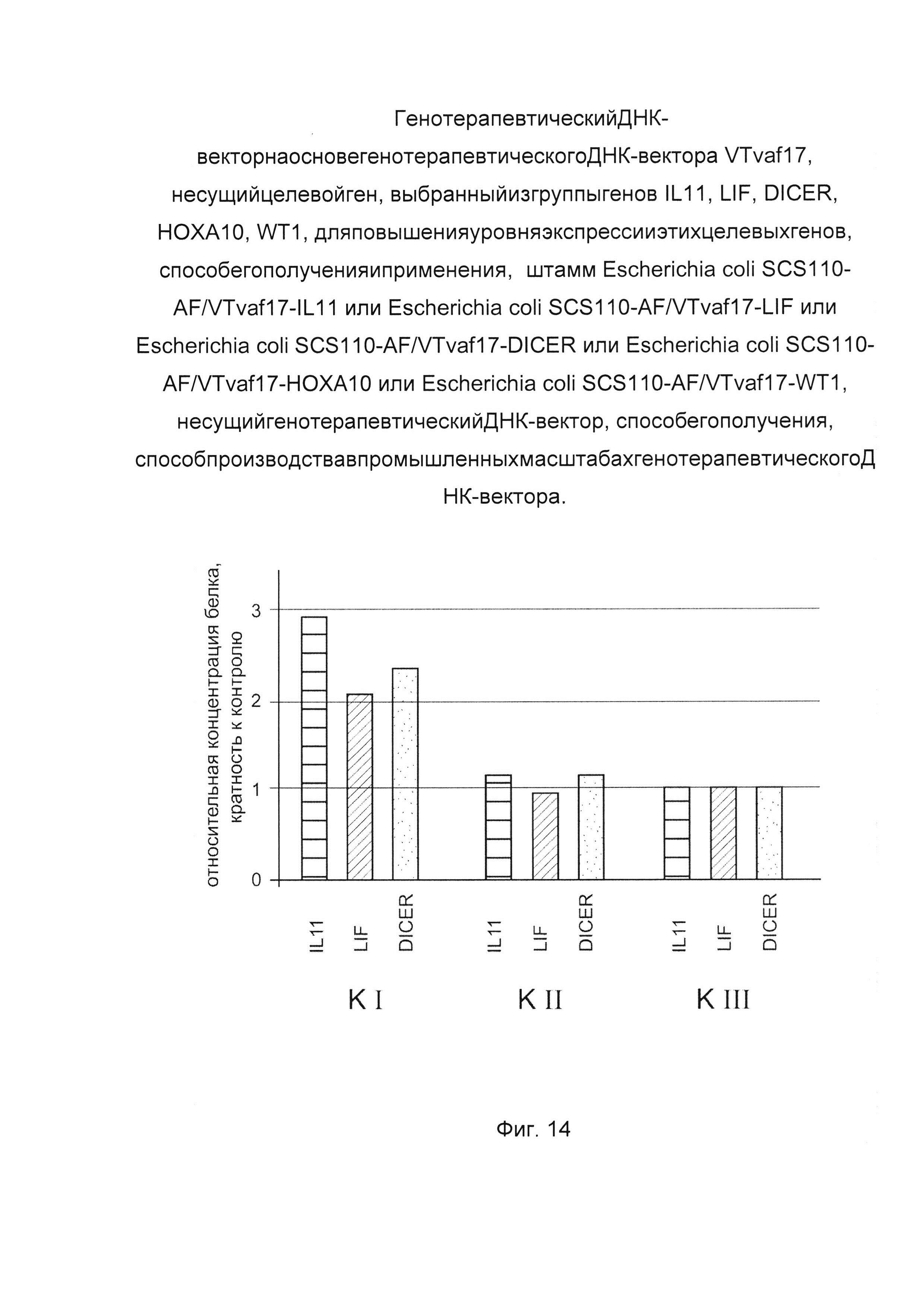 Генотерапевтический ДНК-вектор на основе генотерапевтического ДНК-вектора VTvaf17, несущий целевой ген, выбранный из группы генов IL11, LIF, DICER, HOXA10, WT1, для повышения уровня экспрессии этих целевых генов, способ его получения и применения, штамм Escherichia coli SCS110-AF/VTvaf17-IL11, или Escherichia coli SCS110-AF/VTvaf17-LIF, или Escherichia coli SCS110-AF/VTvaf17-DICER, или Escherichia coli SCS110-AF/VTvaf17-HOXA10, или Escherichia coli SCS110-AF/VTvaf17-WT1, несущий генотерапевтический ДНК-вектор, способ его получения, способ производства в промышленных масштабах генотерапевтического ДНК-вектора