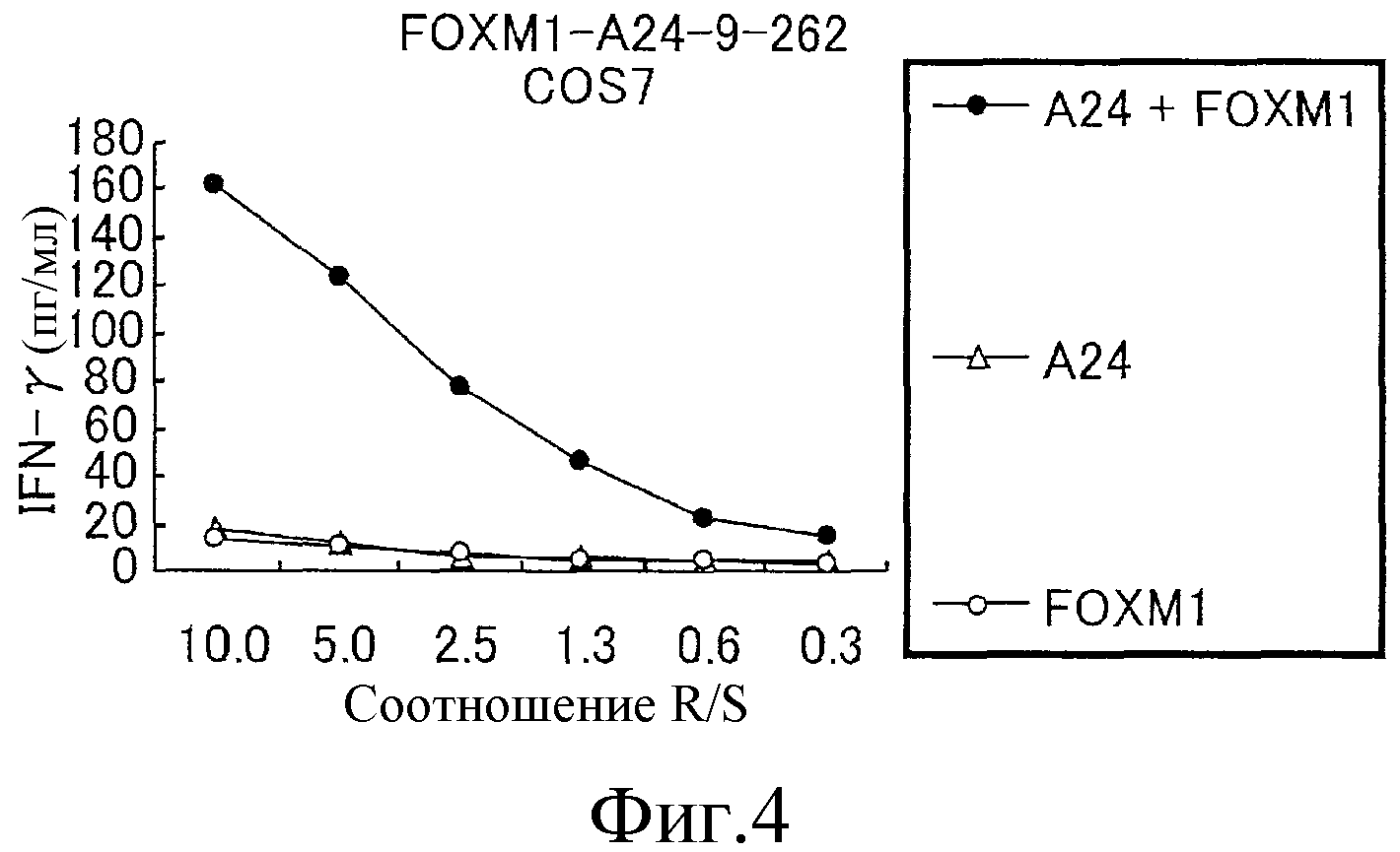 ПЕПТИДЫ FOXM1 И ВАКЦИНЫ, СОДЕРЖАЩИЕ ИХ