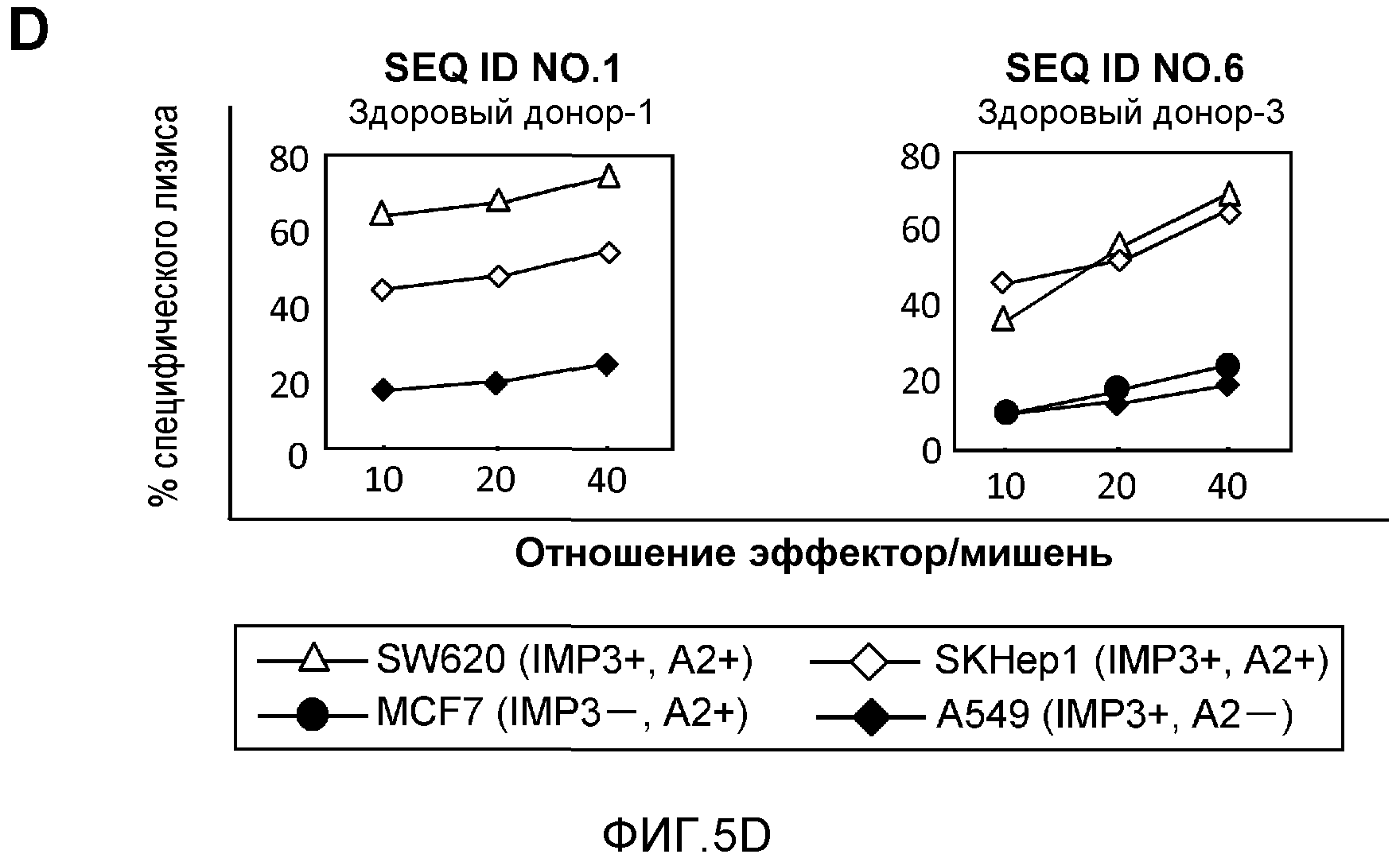 ОЛИГОПЕПТИДЫ IMP-3 И СОДЕРЖАЩИЕ ИХ ВАКЦИНЫ