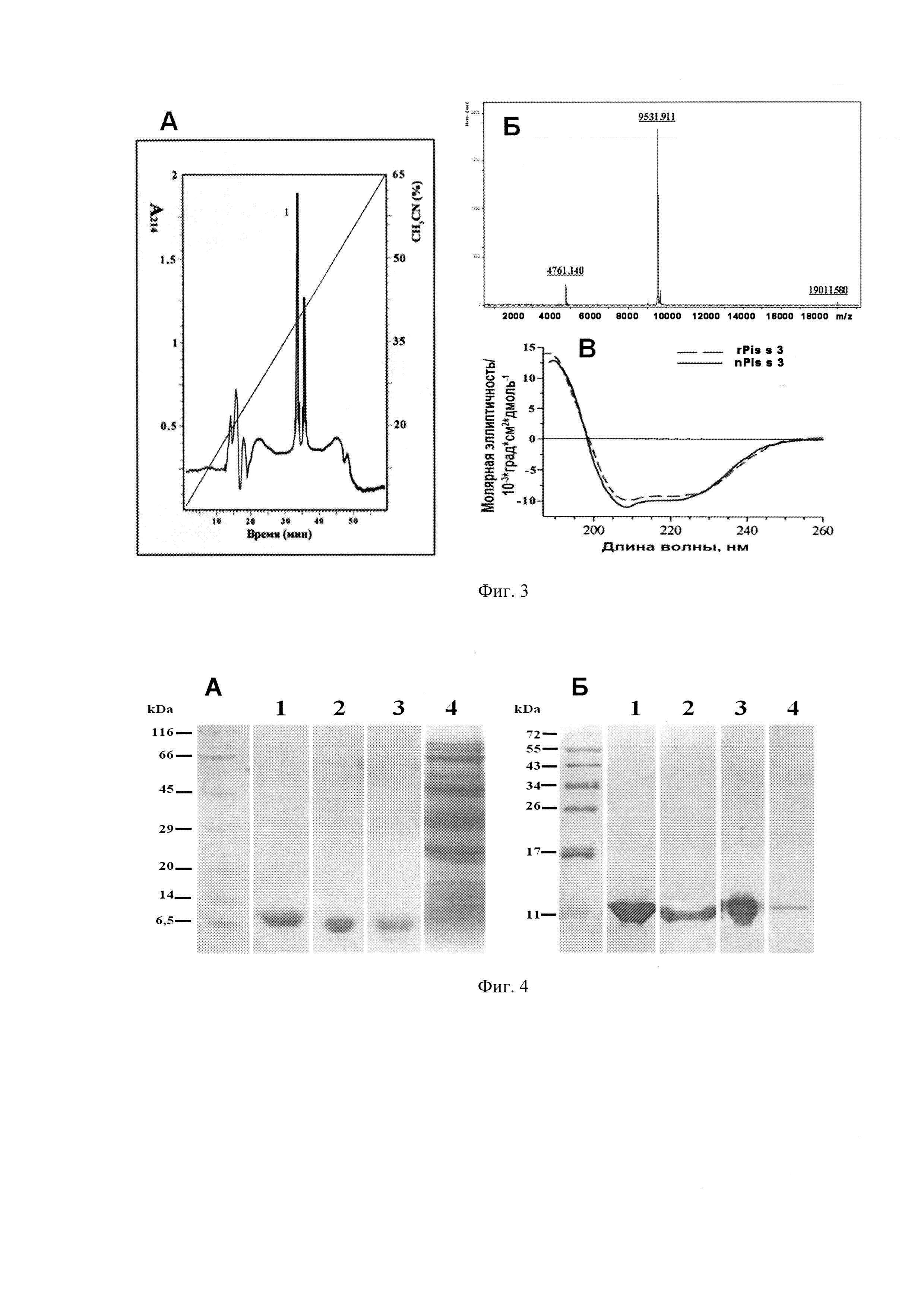 Плазмидный вектор pET-pPsLTP, штамм бактерии Escherichia coli BL21(DE3)Star/ pET-pPsLTP - продуцент пищевого аллергена гороха Pis s 3 и способ получения указанного аллергена
