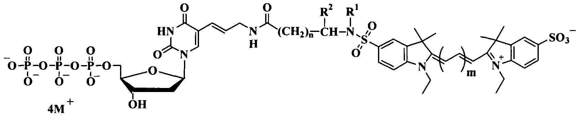 Дезоксиуридинтрифосфаты, связанные с цианиновыми красителями сульфамидоалкильными линкерами, для использования в ПЦР