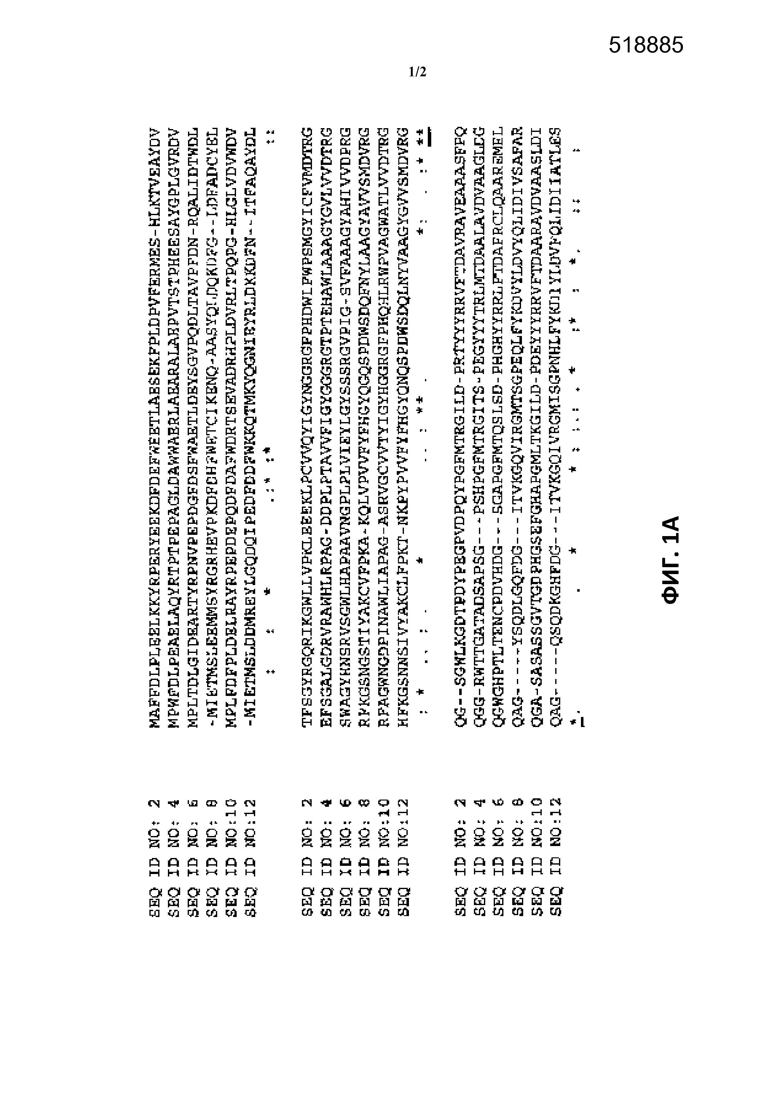 ФЕРМЕНТЫ, ПРИГОДНЫЕ ДЛЯ ПОЛУЧЕНИЯ ПЕРКИСЛОТ