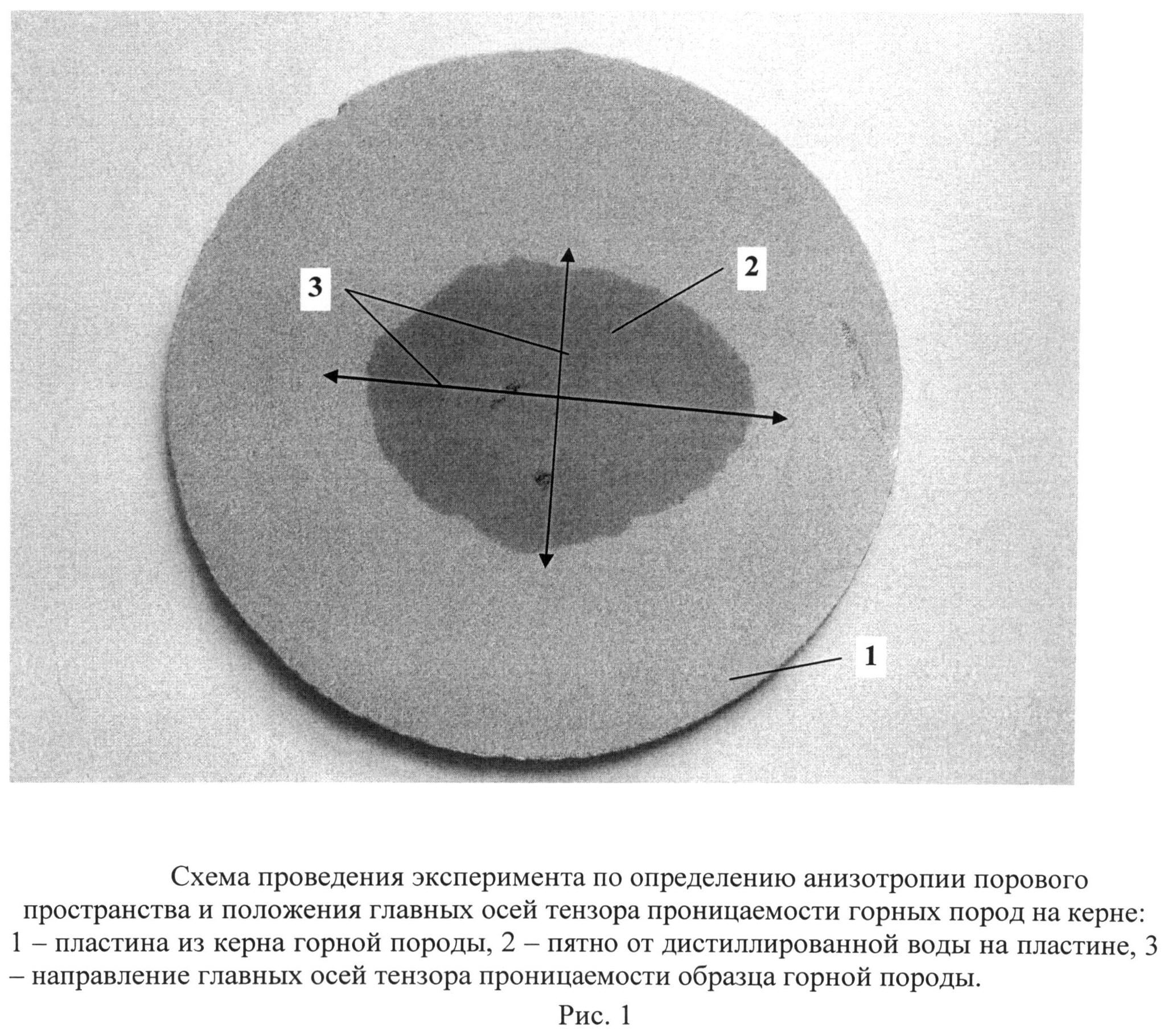СПОСОБ ОПРЕДЕЛЕНИЯ АНИЗОТРОПИИ ПОРОВОГО ПРОСТРАНСТВА И ПОЛОЖЕНИЯ ГЛАВНЫХ ОСЕЙ ТЕНЗОРА ПРОНИЦАЕМОСТИ ГОРНЫХ ПОРОД НА КЕРНЕ