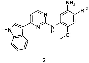 Замещенные N-{ 3-[4-(1-метил-1Н-индол-3-ил)пиримидин-2-иламино]-4-метоксифенил} -амиды в качестве модуляторов EGFR, предназначенные для лечения рака