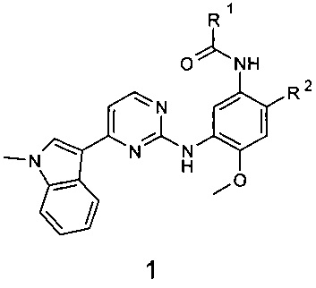 Замещенные N-{ 3-[4-(1-метил-1Н-индол-3-ил)пиримидин-2-иламино]-4-метоксифенил} -амиды в качестве модуляторов EGFR, предназначенные для лечения рака