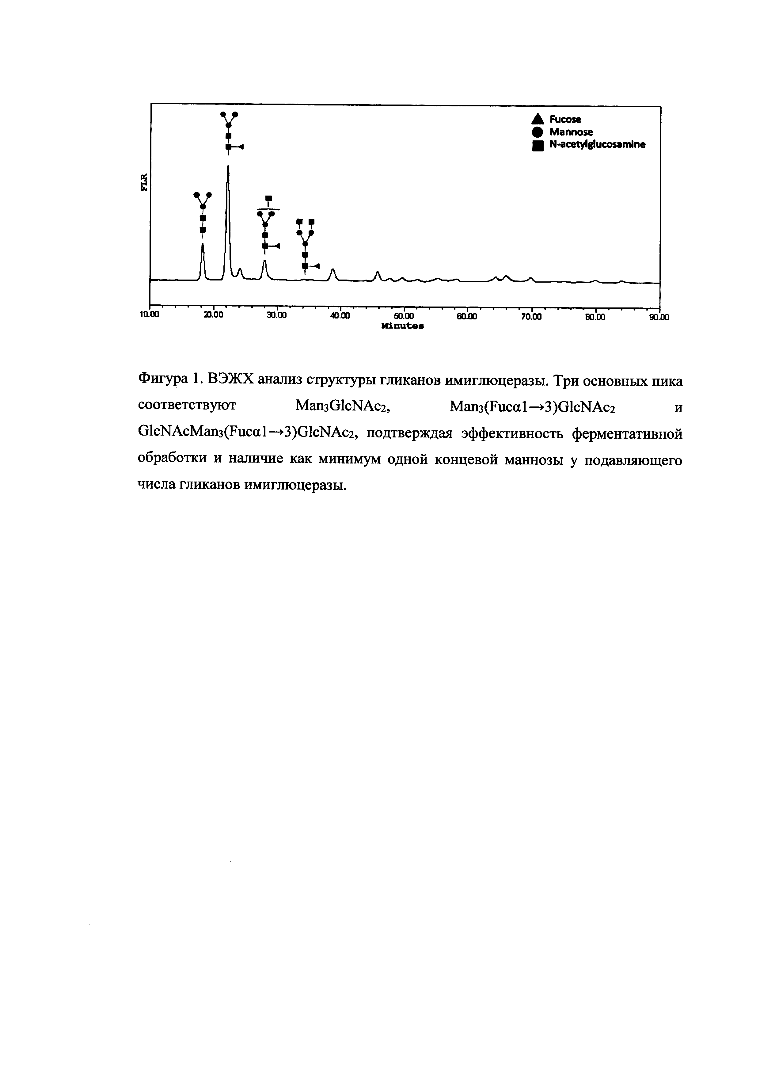 СПОСОБ ОЧИСТКИ ИМИГЛЮЦЕРАЗЫ