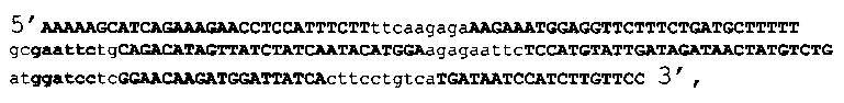 Кассетная генетическая конструкция, экспрессирующая две биологически активные siPHK, эффективно атакующие мишени в мРНК обратной транскриптазы ВИЧ-1 субтипа А у больных в России, и одну siPHK, направленную на мРНК гена CCR5