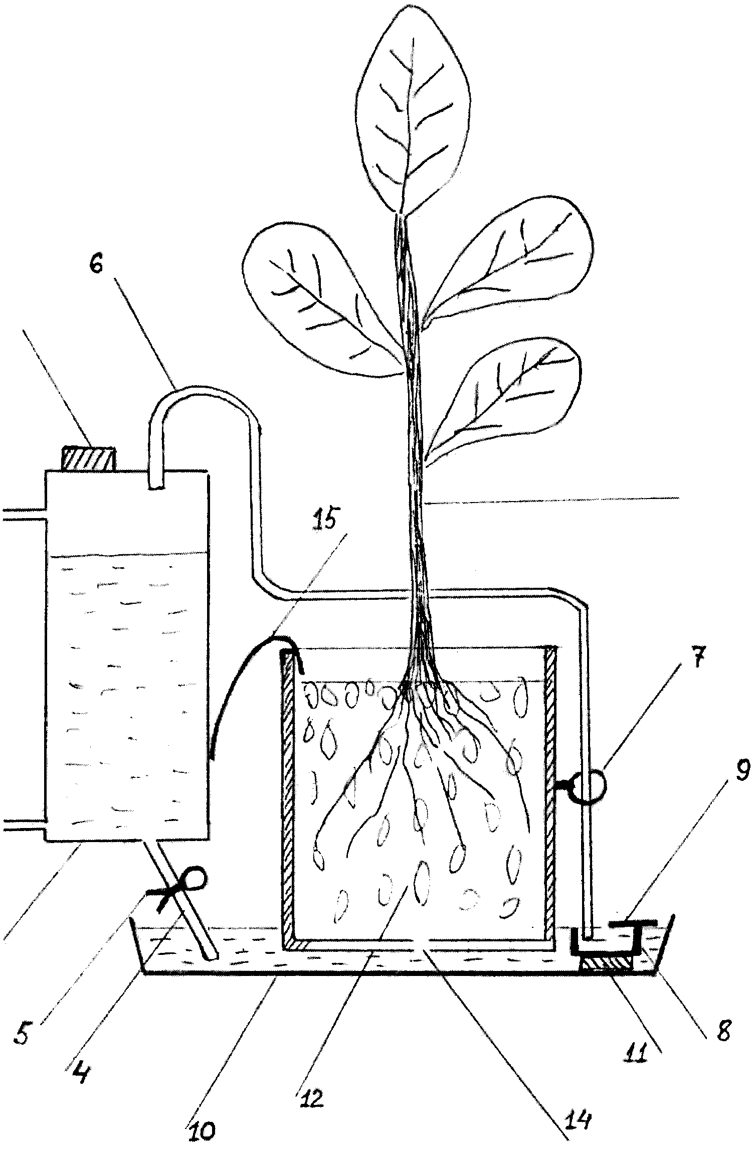 Устройство для автоматического полива растений
