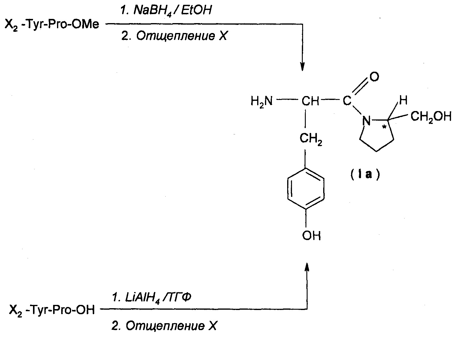 Пэт с тирозином. Тирозин структура. Производные тирозина. Гомогенность.