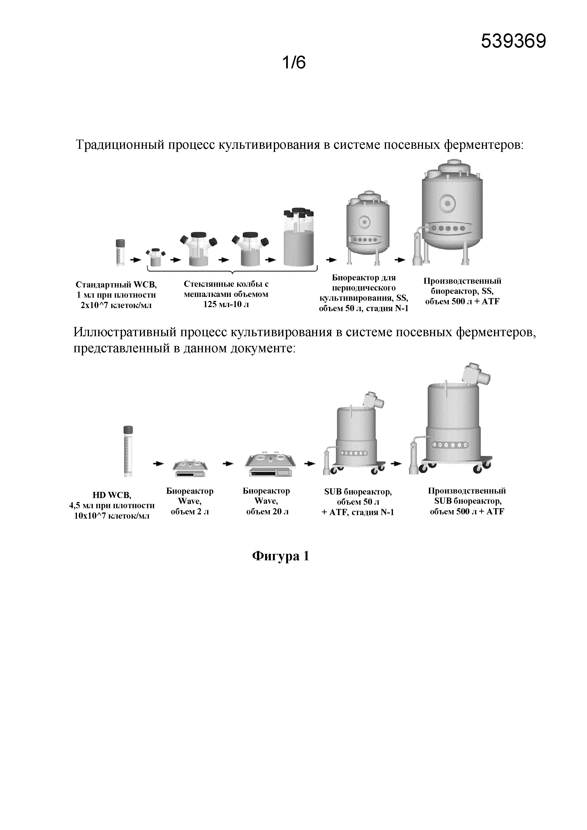 СПОСОБ КУЛЬТИВИРОВАНИЯ В СИСТЕМЕ ПОСЕВНЫХ ФЕРМЕНТЕРОВ (ВАРИАНТЫ)