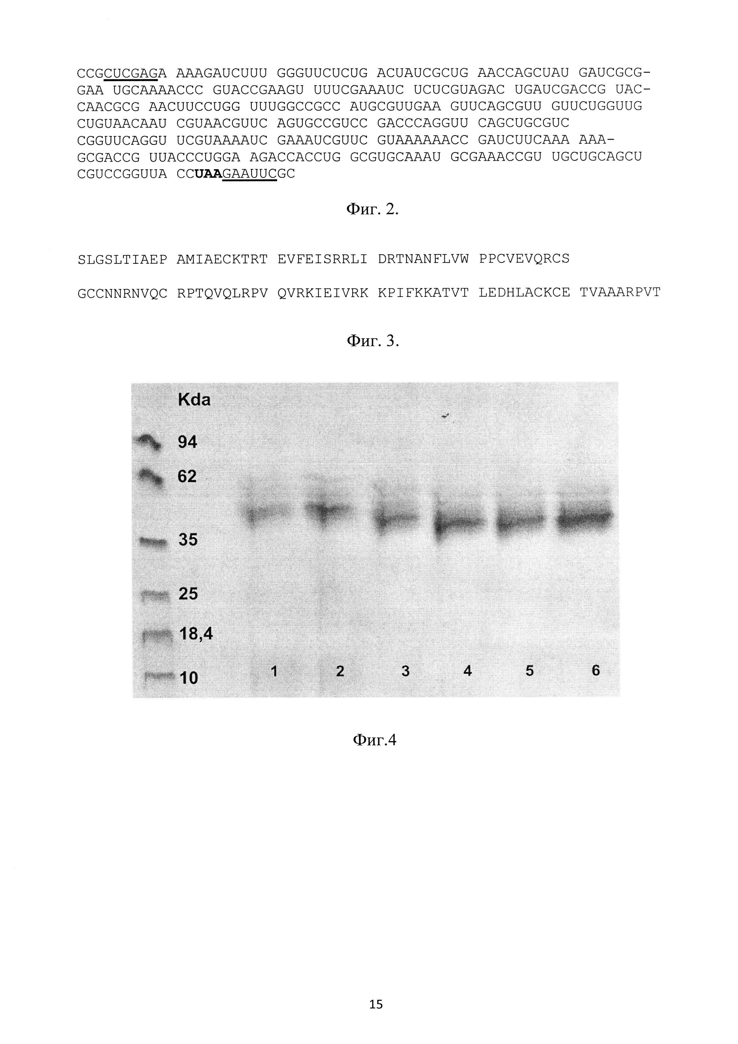 Рекомбинантная плазмидная ДНК pPDGFB, кодирующая полипептид со свойствами фактора роста тромбоцитов-ВВ человека, и рекомбинантный штамм метилотрофных дрожжей Pichia pastoris - продуцент полипептида со свойствами фактора роста тромбоцитов-ВВ человека