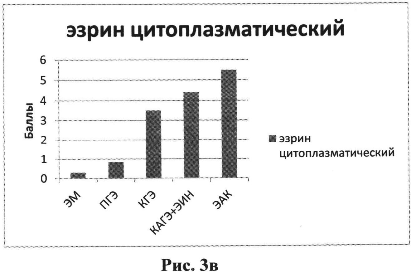 СПОСОБ ДИФФЕРЕНЦИАЛЬНОЙ ДИАГНОСТИКИ ВЫСОКОДИФФЕРЕНЦИРОВАННОЙ ЭНДОМЕТРИОИДНОЙ АДЕНОКАРЦИНОМЫ ТЕЛА МАТКИ У ПАЦИЕНТОК ПЕРИМЕНОПАУЗАЛЬНОГО ПЕРИОДА