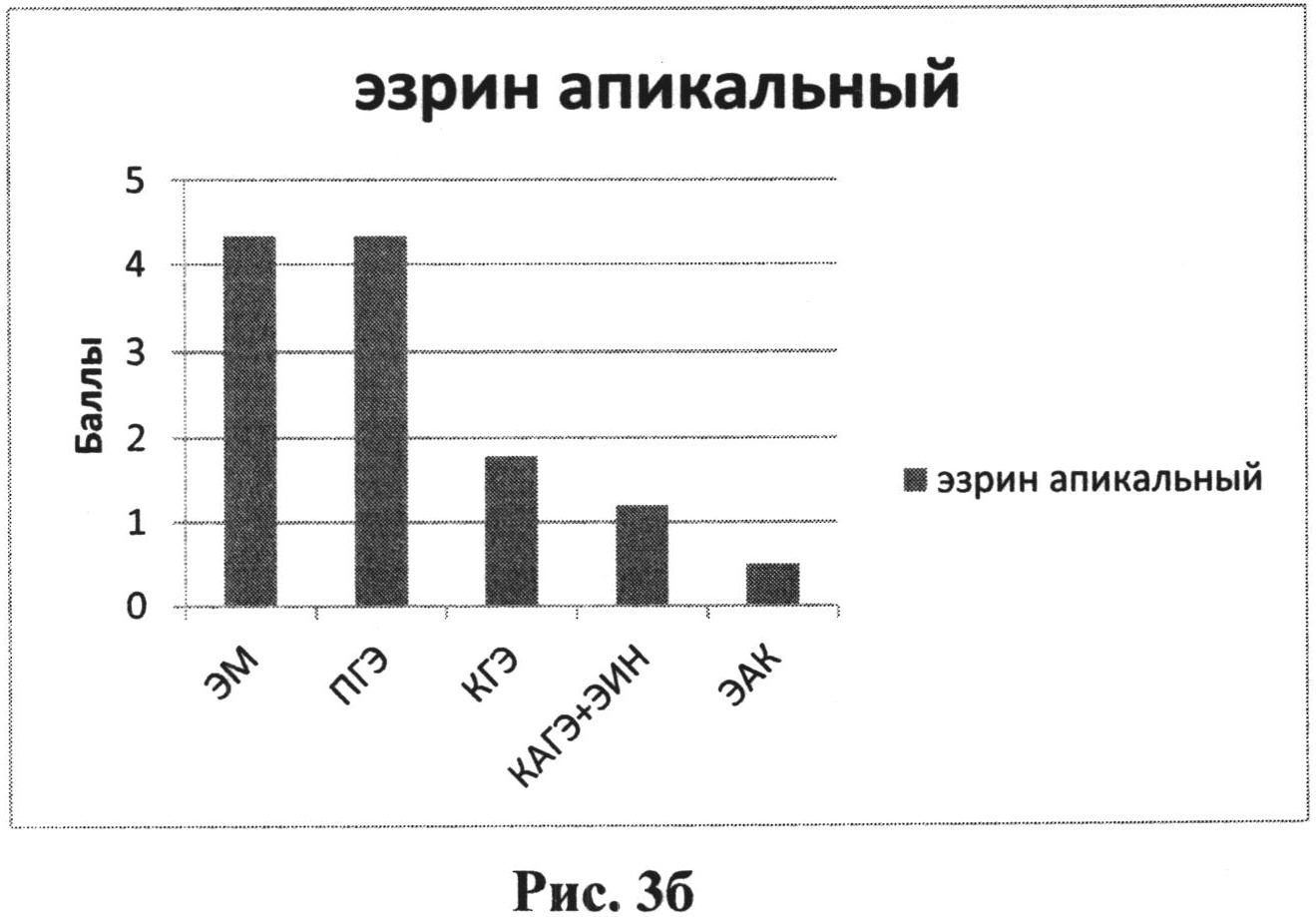 СПОСОБ ДИФФЕРЕНЦИАЛЬНОЙ ДИАГНОСТИКИ ВЫСОКОДИФФЕРЕНЦИРОВАННОЙ ЭНДОМЕТРИОИДНОЙ АДЕНОКАРЦИНОМЫ ТЕЛА МАТКИ У ПАЦИЕНТОК ПЕРИМЕНОПАУЗАЛЬНОГО ПЕРИОДА