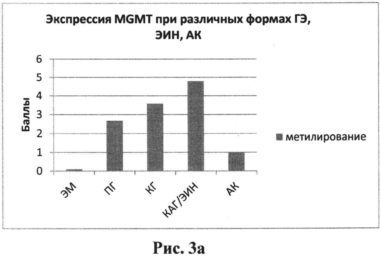 СПОСОБ ДИФФЕРЕНЦИАЛЬНОЙ ДИАГНОСТИКИ ВЫСОКОДИФФЕРЕНЦИРОВАННОЙ ЭНДОМЕТРИОИДНОЙ АДЕНОКАРЦИНОМЫ ТЕЛА МАТКИ У ПАЦИЕНТОК ПЕРИМЕНОПАУЗАЛЬНОГО ПЕРИОДА