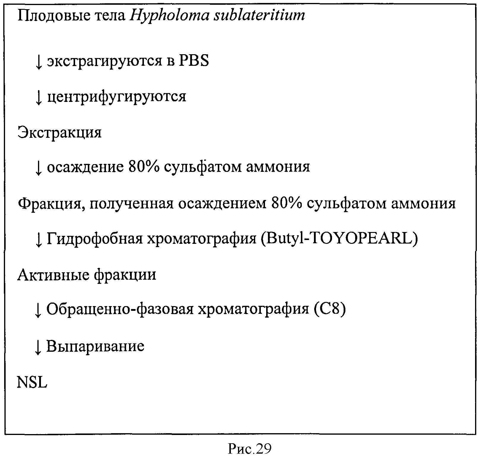 L-ФУКОЗА α1→6 СПЕЦИФИЧНЫЙ ЛЕКТИН
