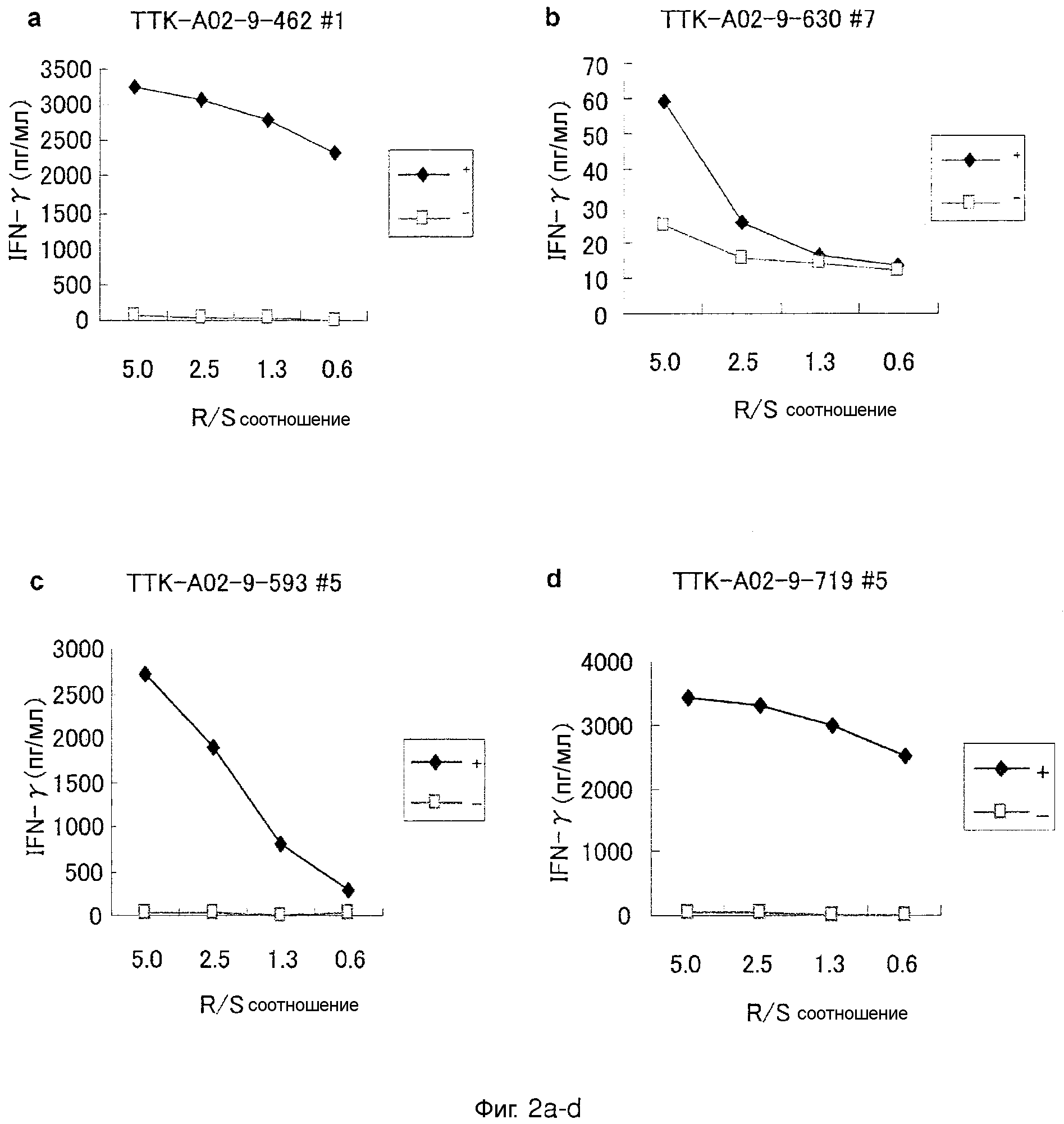 ПЕПТИДЫ ТТК И ВАКЦИНЫ, ИХ СОДЕРЖАЩИЕ